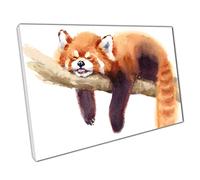 Wild Sleepy Red Panda On Tree Branch Watercolour Painting Illustration Wall Art Print On Canvas Picture For Home Office Decor 61x41cm (24x16In)