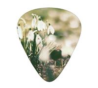 Wild Spring Snowdrop,12 Pcs Guitar Pick,3 Different Thickness Plectrums for Acoustic Guitar Bass Ukulele (0.46mm 0.96mm 0.71mm)