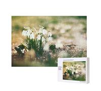 Wild Spring Snowdrop,300 Pieces Wooden Jigsaw Family Game Jigsaw Puzzles for Adults Teens Home Decor