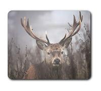 Wild Stag Deer Highlands Mouse Mat Pad Computer PC Laptop Gaming Office Home Desk Accessory Gadget 2174