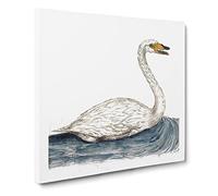 Wild Swan by A.B. de Boodt Canvas Print | Gallery Wrapped 30mm Frame Wall Art | 14x14 inches | Ready to Hang | Retro Bird Picture | Living Room Bedroom Lounge Office