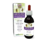 Wild Teasel or Fuller's Teasel (Dipsacus fullonum or D. sylvestris) Roots Alcohol-Free Mother Tincture Naturalma - Liquid Extract Drops 120 ml - Food Supplement - Vegan