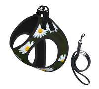 Wild White Chrysanthemum Flower Print Dog Harness Reflective Pet Vest Harness Puppy Harnesses Leash Set,For Walking Training