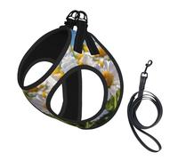 Wild White Daisy Flower Print Dog Harness Leash Set Reflective Pet Harness Puppy Vest Suitable Dogs Cats Small Breeds