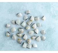 Wild White Meretrix Clams 1kg