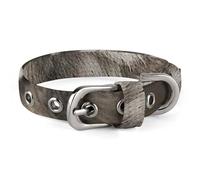 Wild Wild Gray Wolf Pet Collar Oxford Adjustable Safety Dog Collars Cute Outdoor Training Pet Collars Easy Clean Floral Print Puppy Collar for City Pet Owners