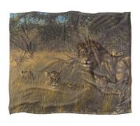 Wild Wings Ladies And Gentleman 2 Silky Supersoft Blanket Multicoloured (One Size)