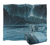 Wild Wings Polar Night Light 2 Silky Touch Super Soft Throw Blanket 152 X 127 cm