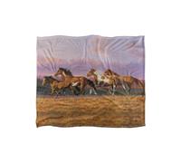 Wild Wings Sunset Cruise 2 Silky Touch Super Soft Throw Blanket 152 X 127 cm in White Wild Wings White 152 X 127 cm