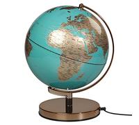 Wild Wood Globe Light | Copper/Blue | 10 Inch