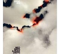 Wildbirds & Peacedrums - The Snake [VINYL]