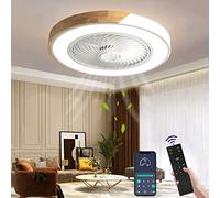 Wildcat Ceiling Fan with Lighting, LED Ceiling Light with Fan Remote Control Fan Ceiling Light Invisible Quiet Ceiling Lamp for Dining Room Living Room Bedroom [Energy Class F]