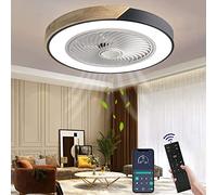 Wildcat Ceiling Fan with Lighting, LED Ceiling Light with Fan Remote Control Fan Ceiling Light Invisible Quiet Ceiling Lamp for Dining Room Living Room Bedroom [Energy Class F]