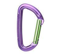Wild Country - Session Straight Gate - Snapgate carabiner purple