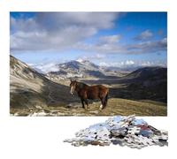 Wilder Mind Jigsaw Puzzles 1000 Pieces for Adults Challenging Puzzles Educational Toy for Teenagers Home Office Decor 1000 PCS(38x26cm)