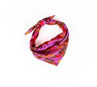 Wilderdog Dog Bandana with Lightweight Quick Drying Poly-Blend Mesh Material in Laramie