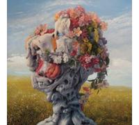 WILDERUN - VEIL OF IMAGINATION - CD - A15z