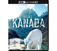 - - Wildes Kanada 4K, 1 UHD-Blu-ray