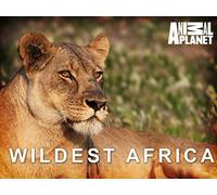 Wildest Africa