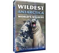 Wildest Antarctica [DVD] [Region 1] [US Import] [NTSC]