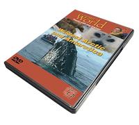Wildest Artic & Antarctica [DVD]