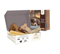 Wildfang® package chewing fun | small dogs | chewing root from tree heather | leather bones | Olive wood chewing stick | Coffee wood chewing stick | Hard cheese for dogs