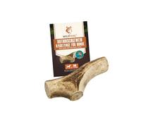 Wildfang® Red Deer Antlers with Salmon Oil for Dogs - Natural Dog Chew Bone - Dog Dental Care - Chewing Muscle Training - Durable Chew Stick Made of Deer Antlers Throwing Rods - M