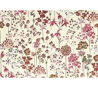 Wildflower Meadow Note Cards (Stationery, Boxed Cards)
