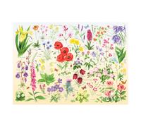 Wildflowers