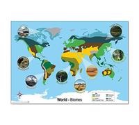 Wildgoose Education WG3612 World Biomes Map, 84 cm x 59 cm
