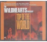 Wildhearts, The - Top of the World / Hit It on the Head [CD 2] [CD 2]
