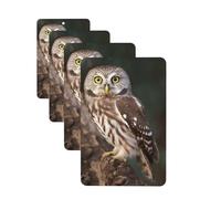 Wildlife Animal Owl Car Air Fresheners Cards 4 Pcs Hanging Fragrance Scented Cards Long-Lasting Car Aromatherapy Tablets for Wardrobe Bathroom Car Interior Mirror Pendant Gifts