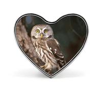 Wildlife Animal Owl Heart Shape Lapel Pin Personalized Pinback Button Badges Retro Punk Button Pin Kawaii Heart Badges for Men Women Clothes Bags Hats & Gift
