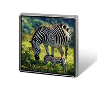 Wildlife Animal Zebra Brooch Pins for Men Women Square Badge Collar Lapel Pins for Dress Jacket Accessories