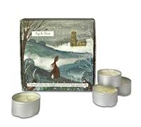 Wildlife Box Tealights - Fig & Olive - Box of 9