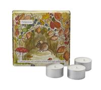 Wildlife Box Tealights - Hedgerows - Box of 9