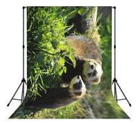 Wildlife Ferret Print Backdrop For Photoshoot, Photo Backdrop Background Curtain For Photography Portraits(No Stand)