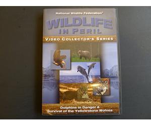 Wildlife in Peril: Dolphins in Danger & Survival o