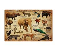 Wildlife Of India Chart Metal Tin Signs Wildlife Knowledge Retro Posters Children Classroom Educational Plaques Home Teachers Office Room Wall Art Decor 8x12 Inch