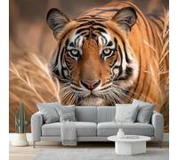 Wildlife Photo Wallpaper 350 X 256 Cm - Non-Woven Premium Art Print Fleece Wall Mural Decoration Poster Picture Design Modern - Brown Tiger Dead Grass for Kids Bedroom Living Room