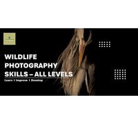 Wildlife Photography Workshop for Beginners