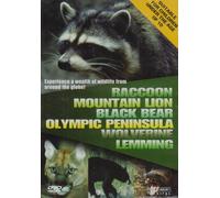 Wildlife: Raccoon/Mountain Lion/Black Bear [DVD]
