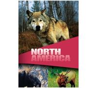 Wildlife - Secret Animals Of North America [DVD]