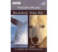 Wildlife Specials 04 - Buckelwahl / Polar-Bär
