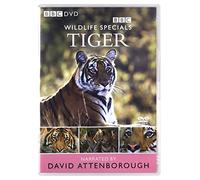 Wildlife Specials: Tiger [DVD]
