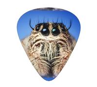 Wildlife Spider Guitar Plectrums 12 Pieces For Ukulele Bass Instrument Accessories
