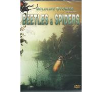 Wildlife Stories The Whole Story: Beetles And Spiders [DVD] [2001]