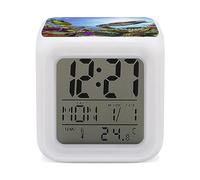 Wildlife Underwater Turtle Digital Alarm Clock Bedside LED Night Light Bedroom Clocks with 7 Colors Changing Indoor Temperature Date Week Display