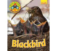 Wildlife Watchers: Blackbird