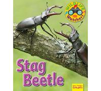 Wildlife Watchers: Stag Beetle